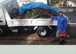 Spraying, Hedging, Small Chainsaw Jobs Brisbane